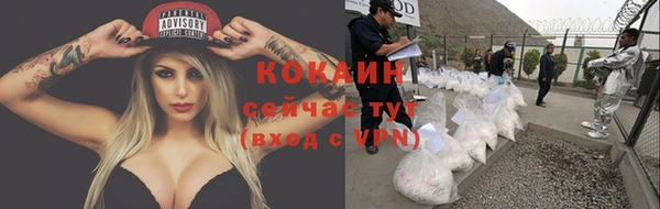 spice Абаза